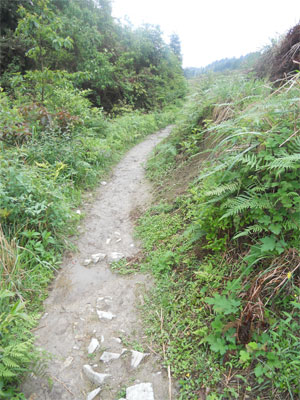 左側は九龍五虎