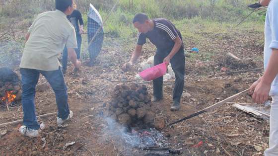桂林「荔浦」の農家