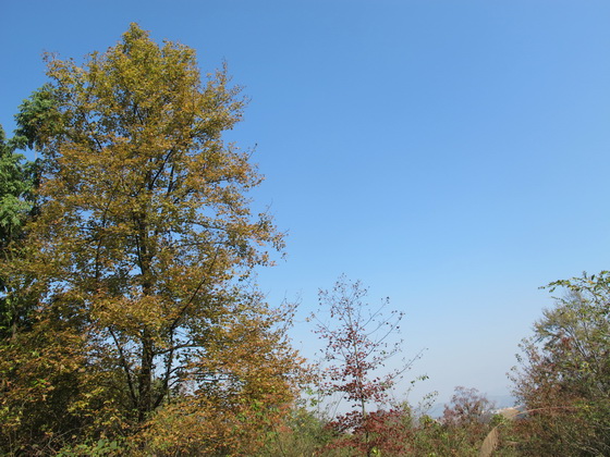 高速道路が六塘鎮を通