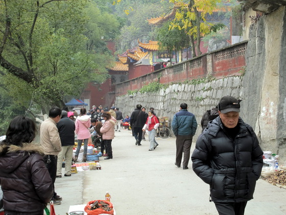 こんな所にお寺があるのは知りませんでした