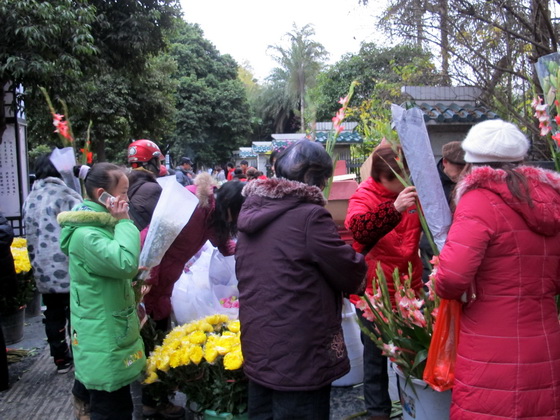 風信子.花鳥市場.桂林観光