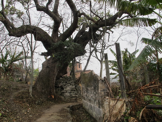「老井」もあります