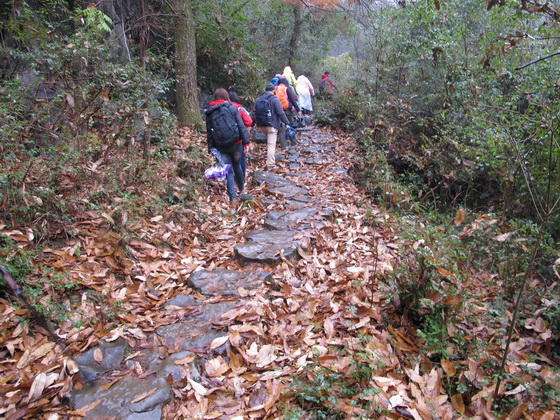 転んでしまって、お尻が痛そうです