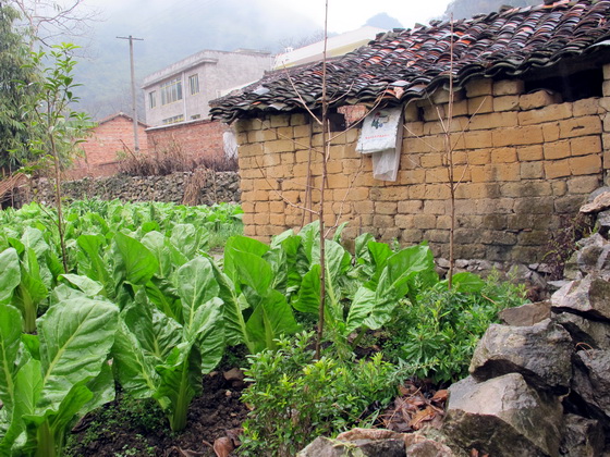 古い家を壊して.桂林旅行