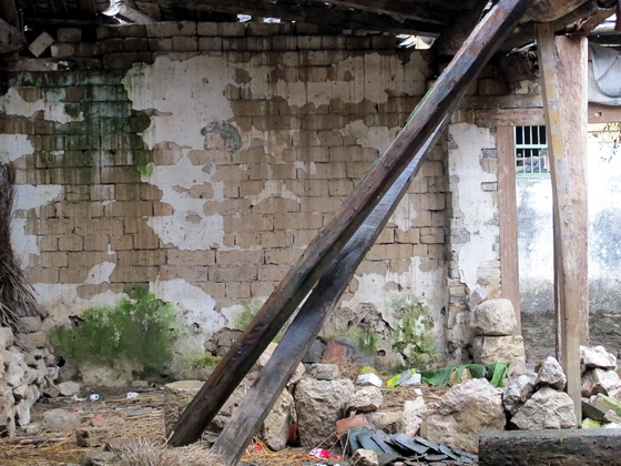 これは民間では「厚皮菜