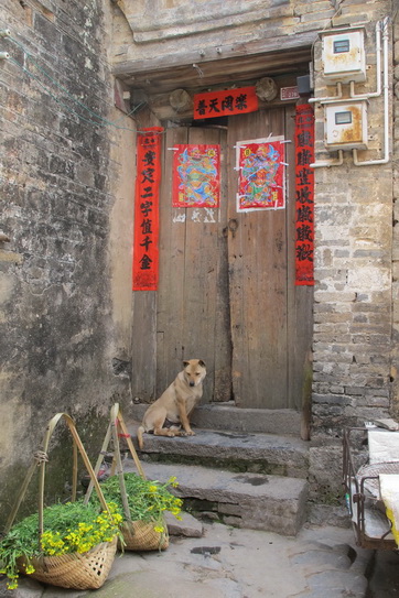 このように無造作に石の上に座って