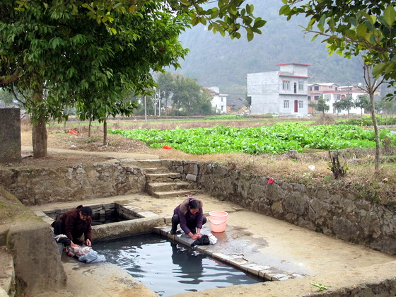 農家はよくフルーツや苗木の経済作物を栽培.遇龍河