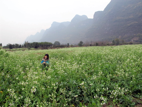 ここの蜜柑は甘かったです.桂林旅行