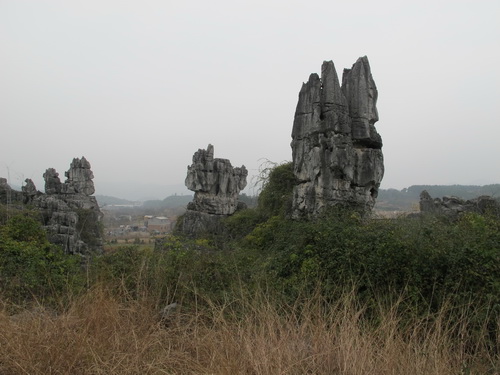 桂林観光で大発見.文市石林