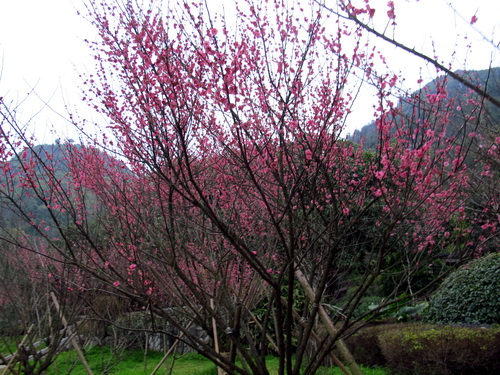 穿山公園.桂林観光