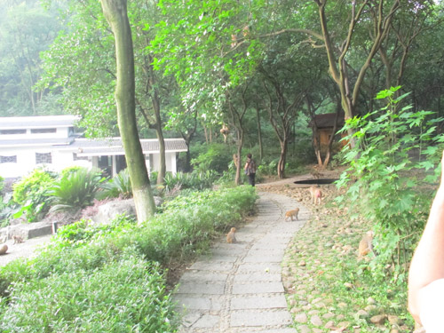 桂林