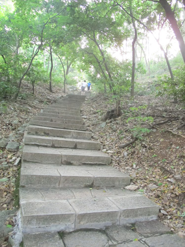 輔星山 桂林