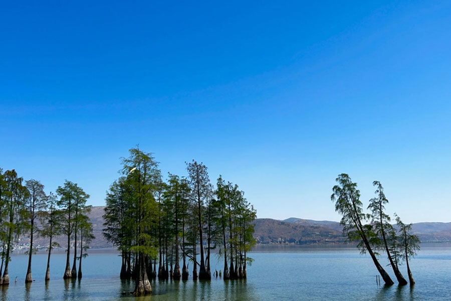 効率よく回る 大理ハイライト一日観光（昼食付きプラン）