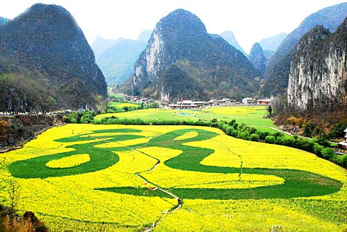 龍宮風景区にある菜の花畑の”龍”字