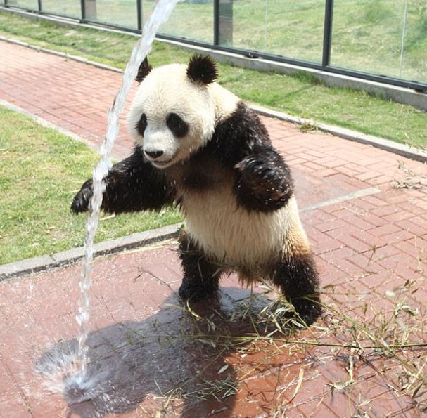 いまは楽しんでいる