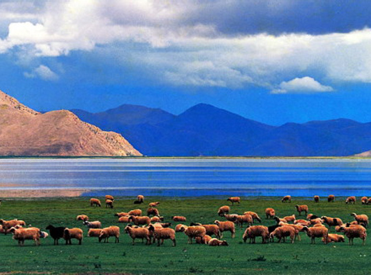 ヤムドゥク湖（羊卓雍湖）